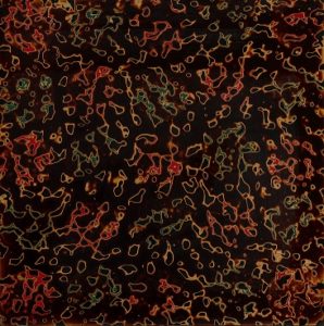 津軽塗唐塗呂上