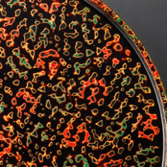 伝統工芸「津軽塗」の歴史　その①