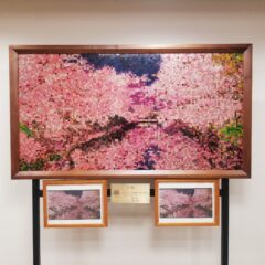 津軽塗で桜のモザイクアート・弘前市へ寄贈されました！